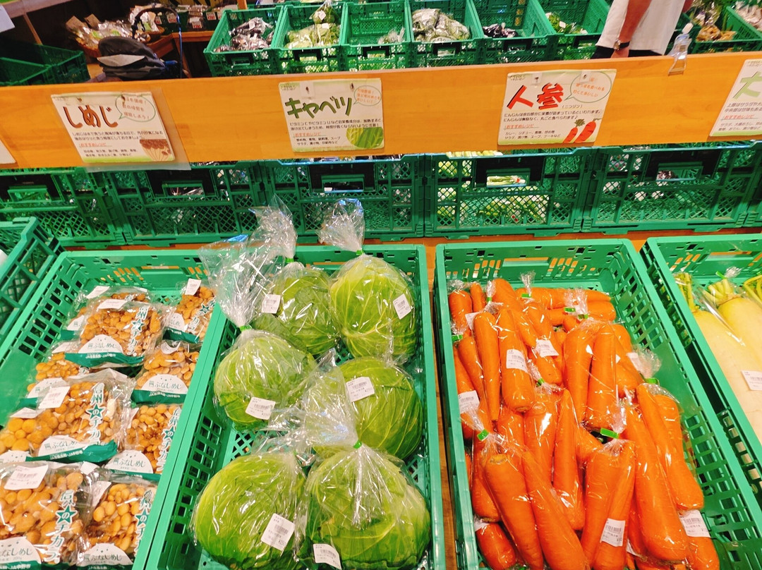 Pasar Moriya-守谷市必去景点