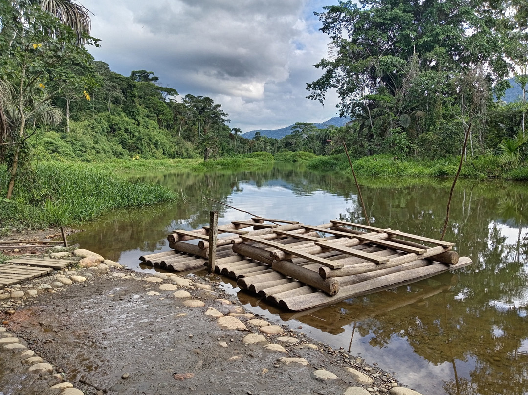 Peru Amazon Expeditions-Manu必去景点