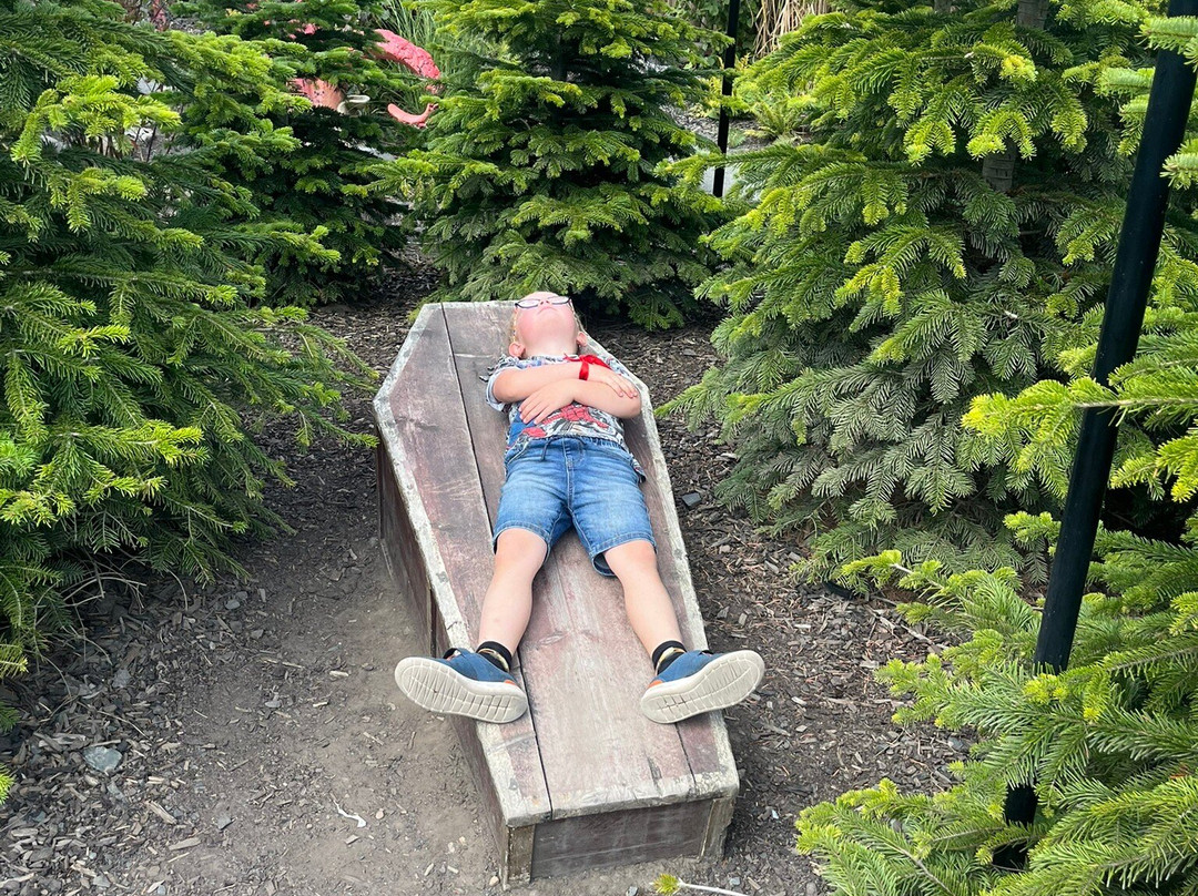 Lilidorei At The Alnwick Garden-阿尼克必去景点