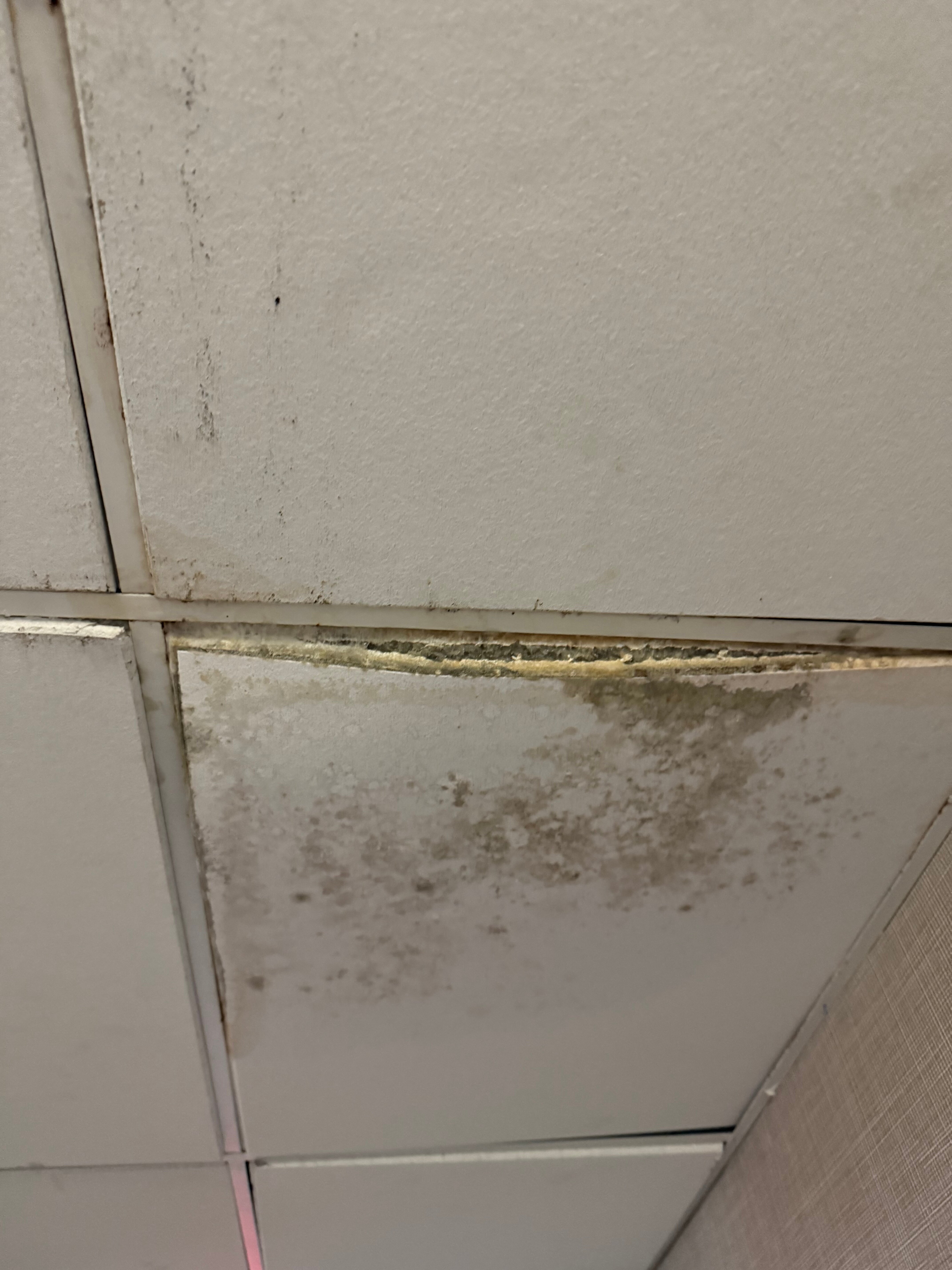 Greenstay Hotel & Suites-官方