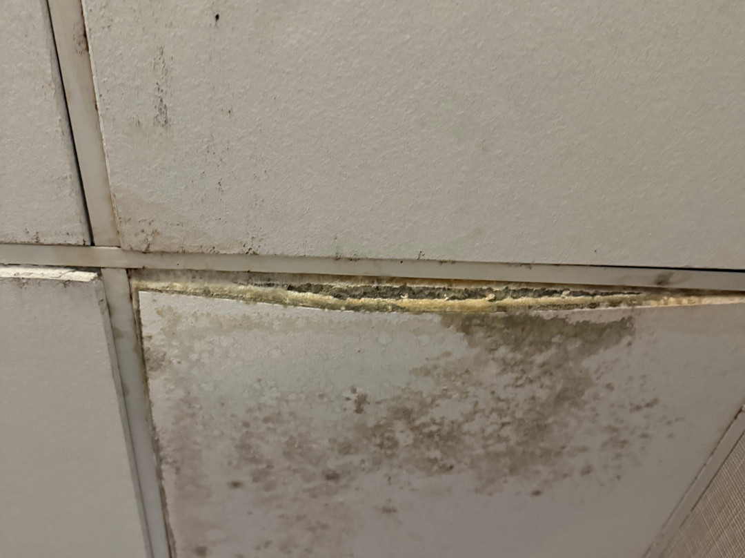 Greenstay Hotel & Suites主图