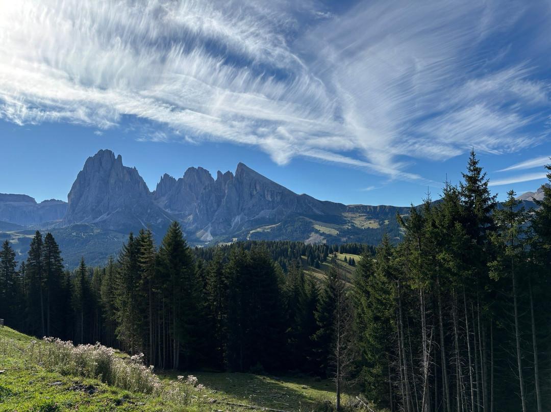 Alpe di Siusi-Alpe di Siusi必去景点