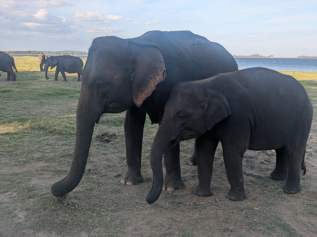 Sri Lanka Rundreise mit saman-加勒必去景点