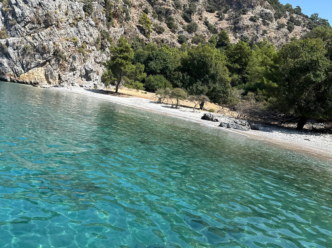 Dalyan Yemekli Tekne Kooperatifi - Dalyan Catered Boat Corporation-达利安必去景点