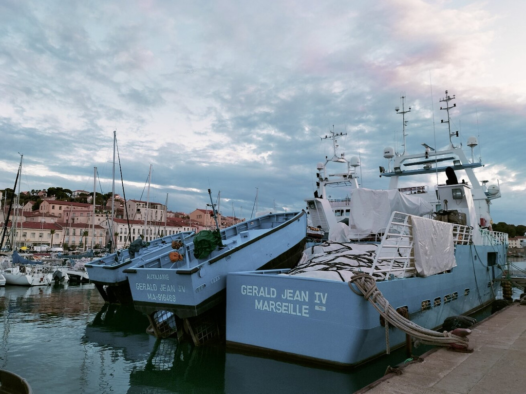Le Port-Port-Vendres必去景点