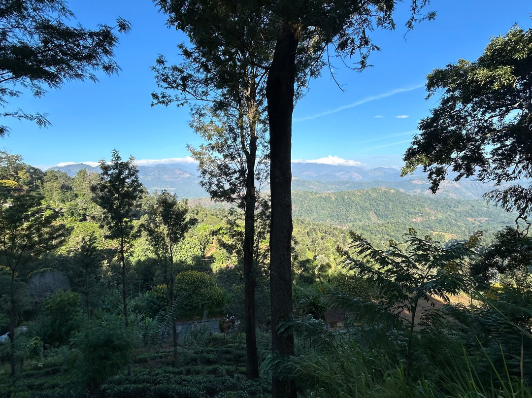 Narangala Mountainous Tourism With Robinson's Path-Badulla必去景点