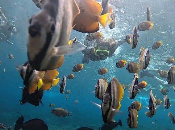 Ceningan Snorkeling Trip-努沙切宁安岛必去景点