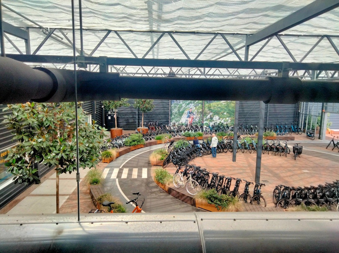 Gazelle Experience Center Dieren-Dieren必去景点