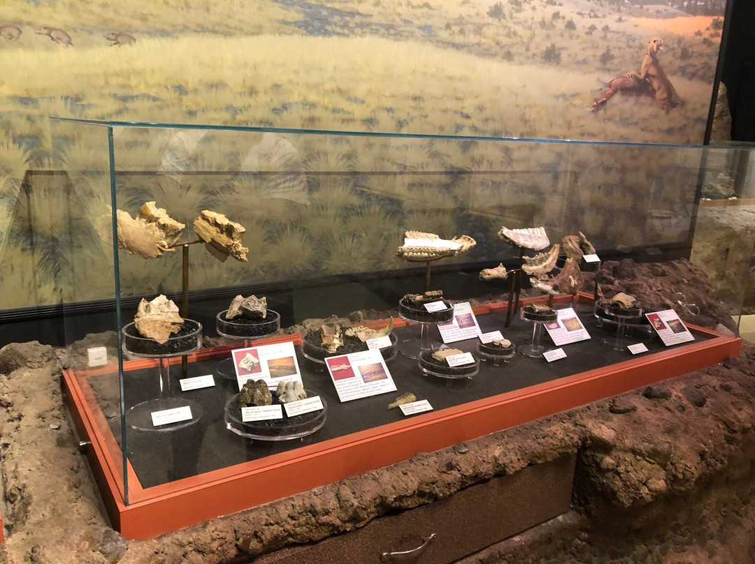 John Day Fossil Beds National Monument-John Day必去景点