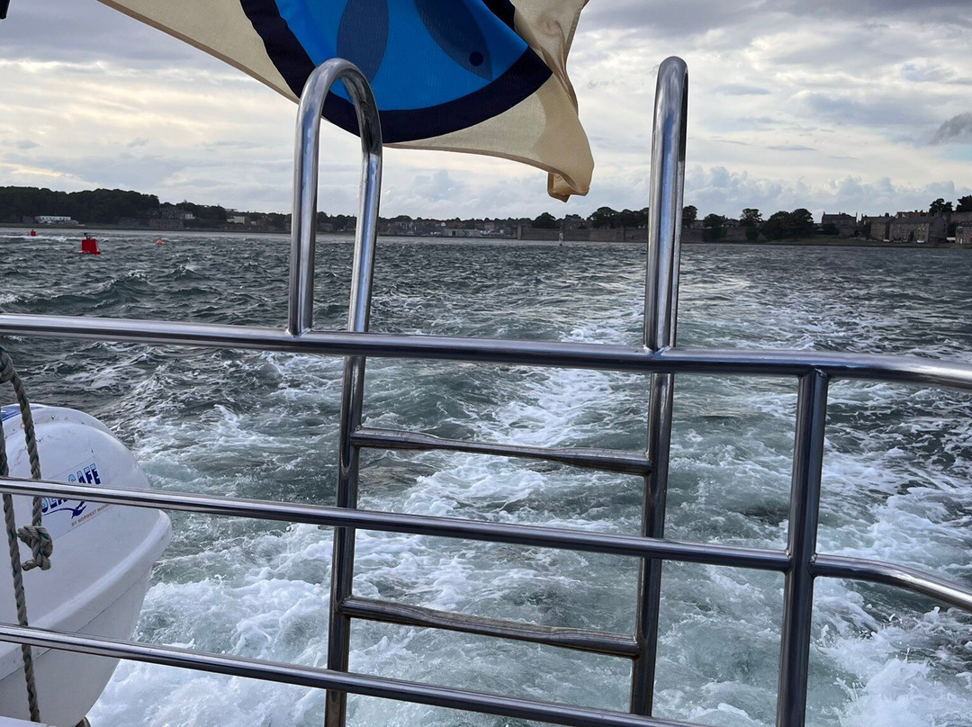 Berwick Boat Trips-特威德河畔贝里克必去景点