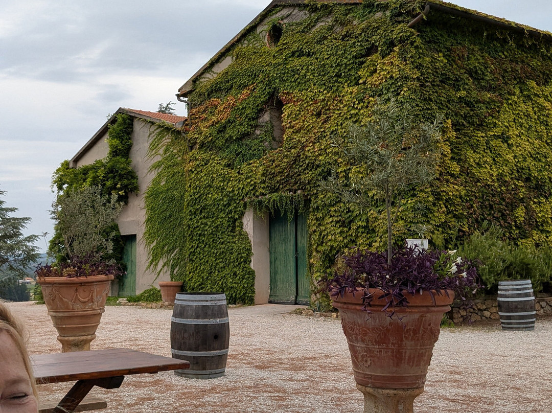 Morisfarms-Cura Nuova必去景点