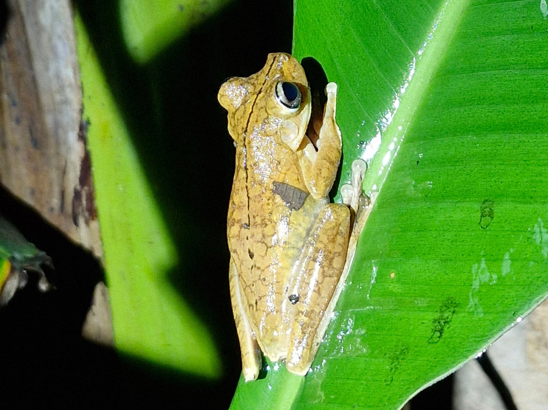 Rancho Tropical-希门尼斯港必去景点