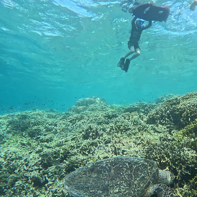 BlueMenjangan-Menjangan Island必去景点