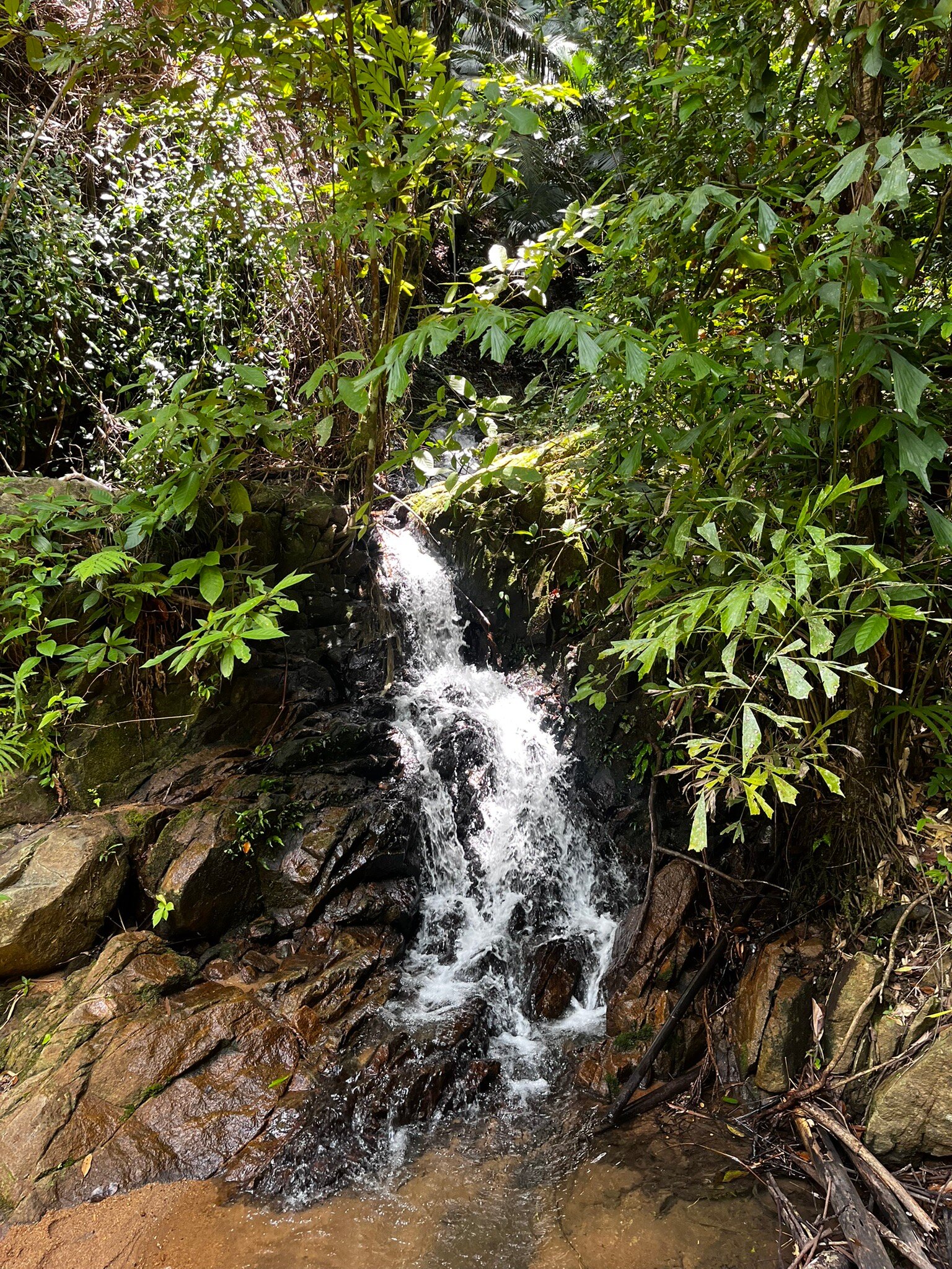 Hilltop Wellness Resort-官方