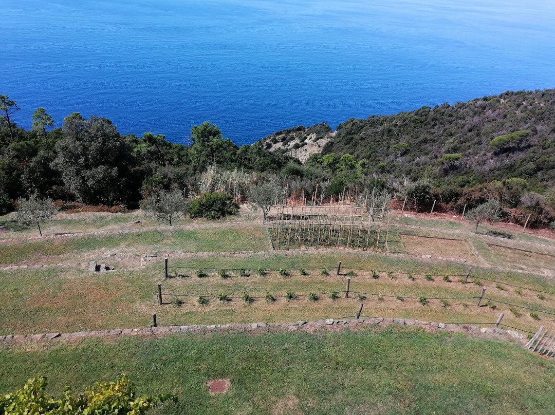 Podere Case Lovara-莱万托必去景点