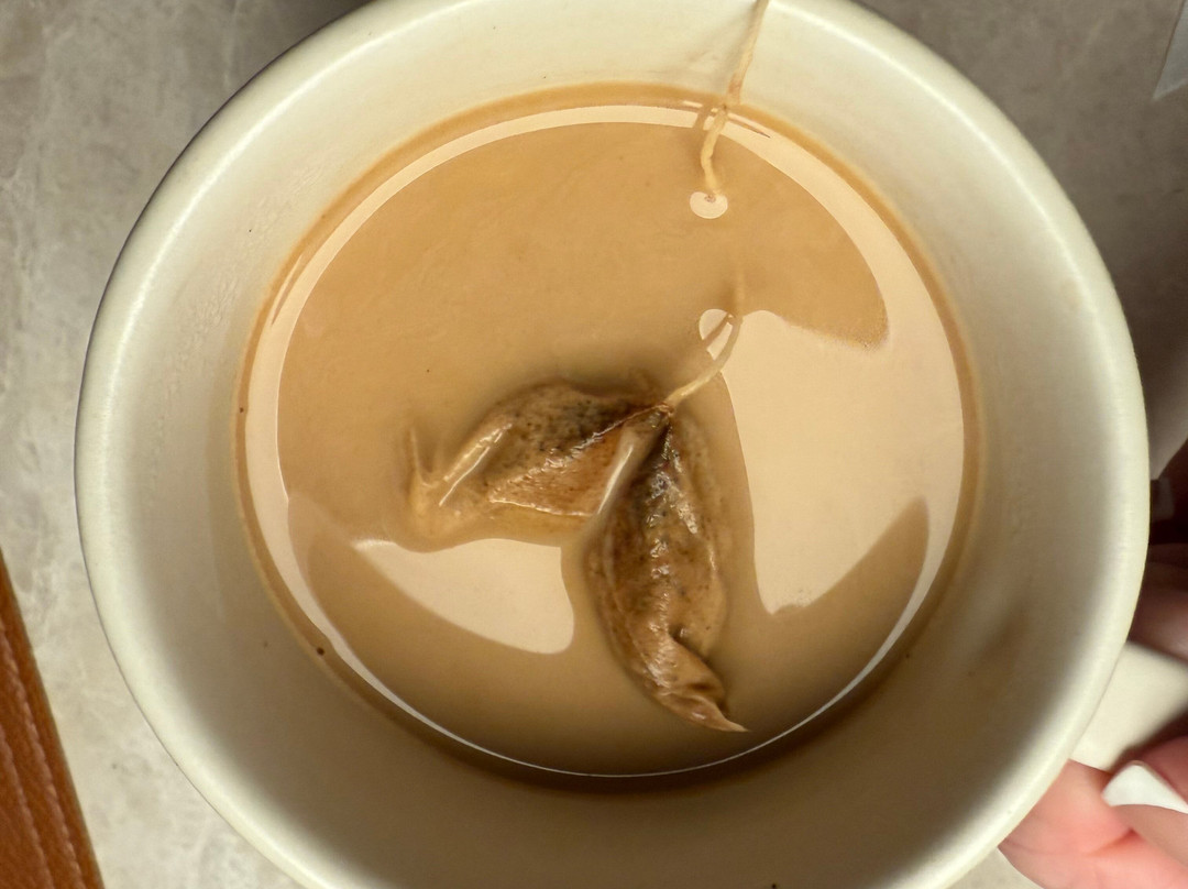 The Jay, Autograph Collection主图