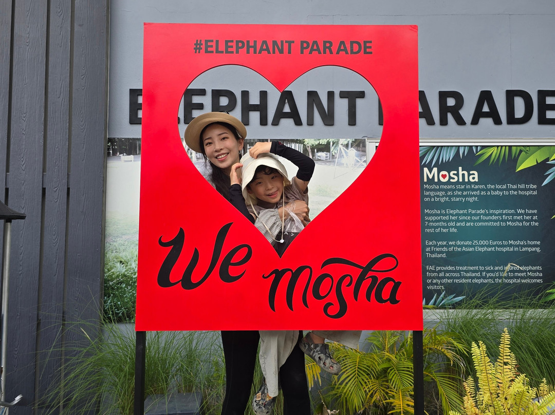 Elephant Parade Land-清迈必去景点