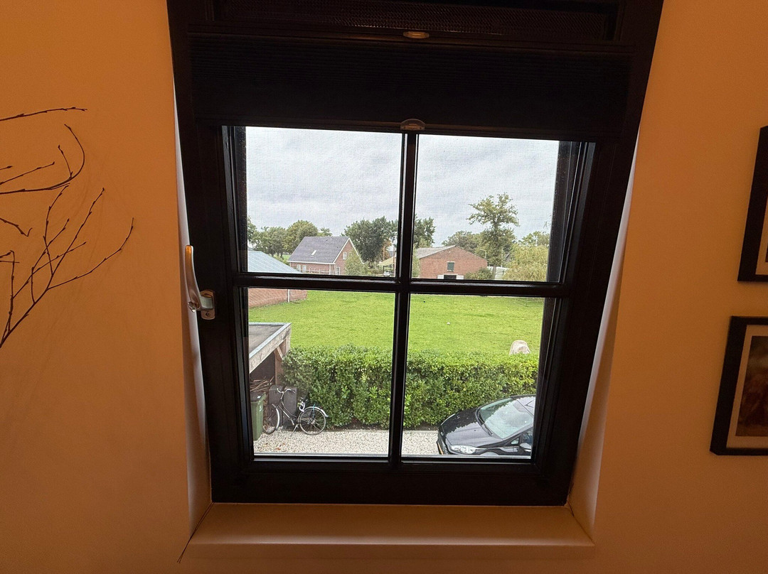 De Gouden Wilg主图