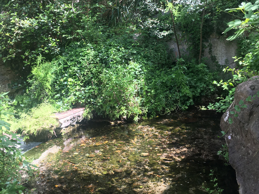 Sorgente della Morìca di Stifone-Narni必去景点