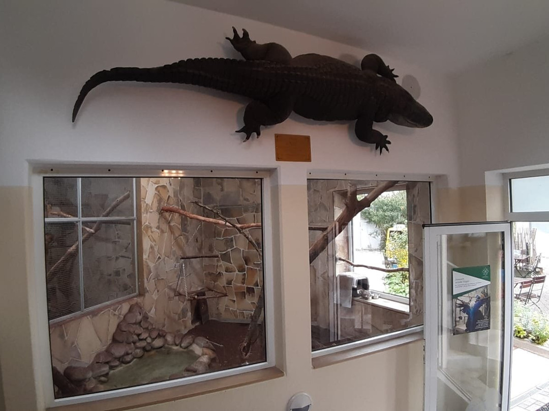 Wasserstern-因戈尔施塔特必去景点