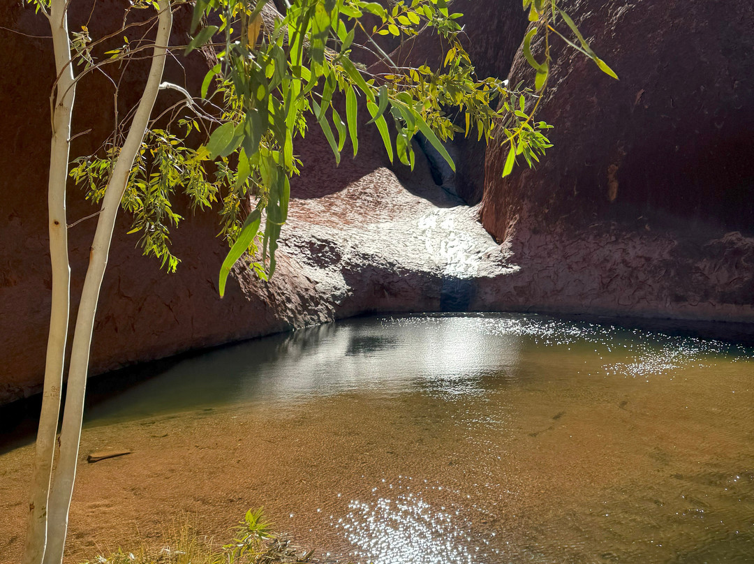 Mutitjulu Waterhole-乌鲁鲁-卡塔丘塔国家公园必去景点