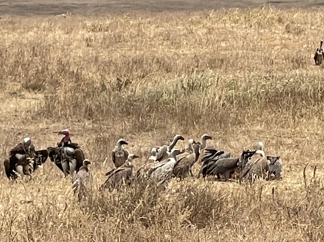 Extreme Travel-布拉索夫必去景点