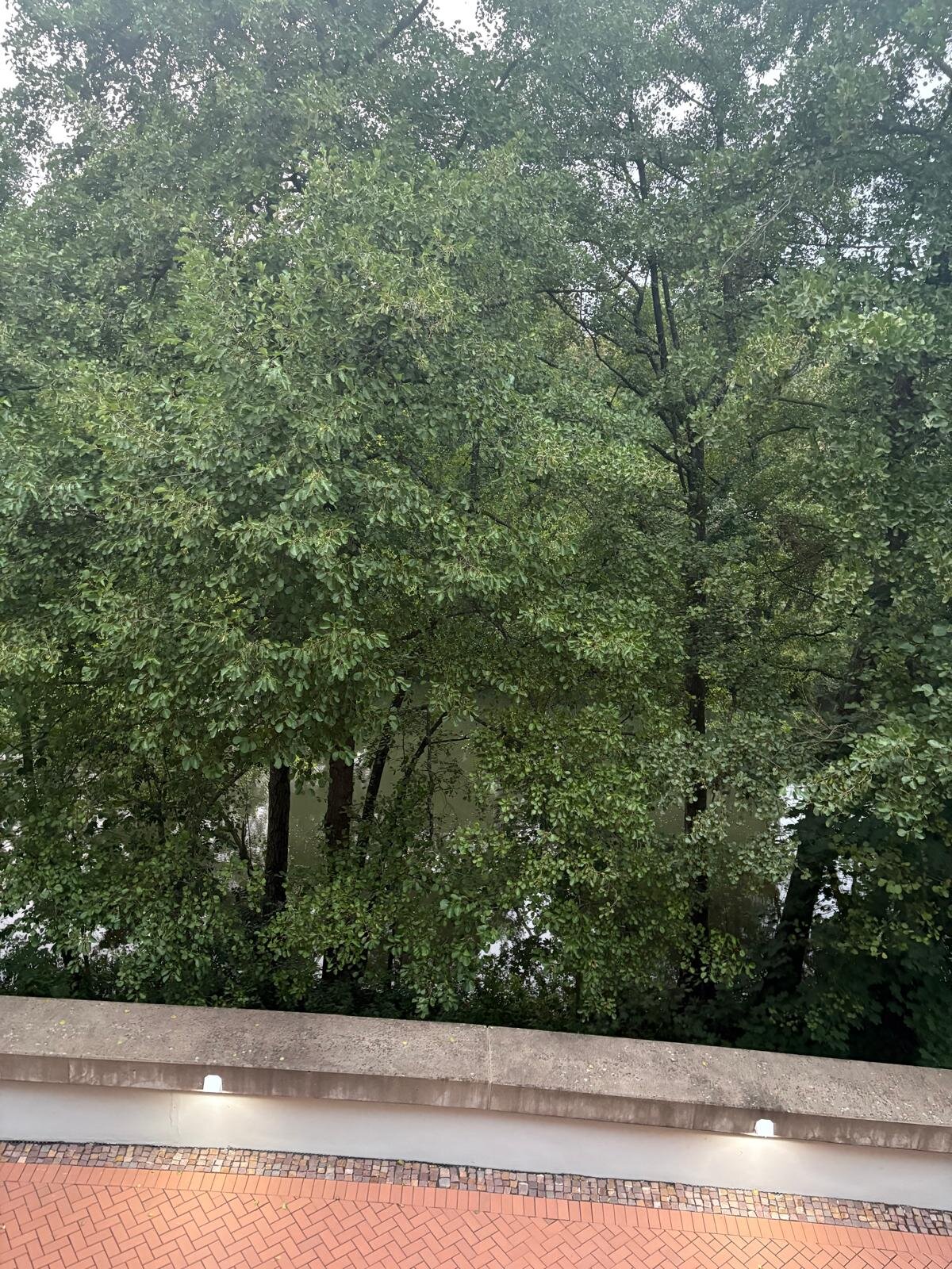 Vila Vita Rosenpark-浴室