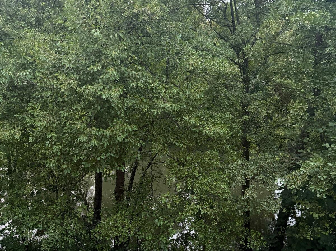 Vila Vita Rosenpark主图