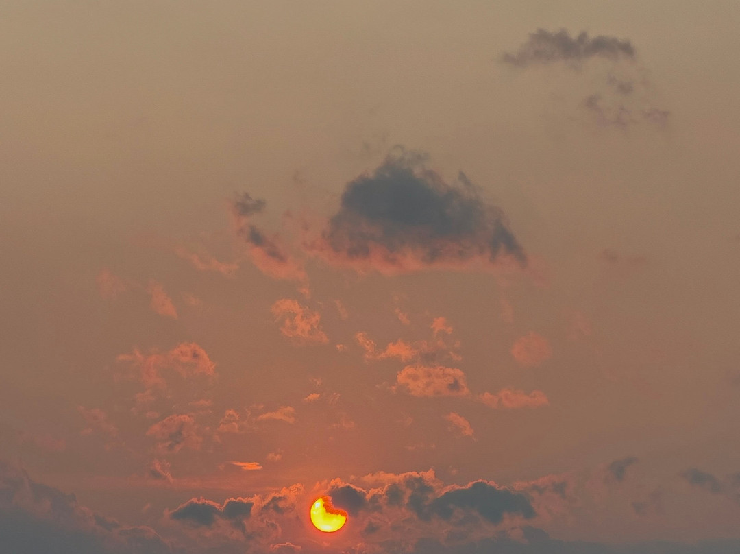 Cherry Springs State Park-Coudersport必去景点