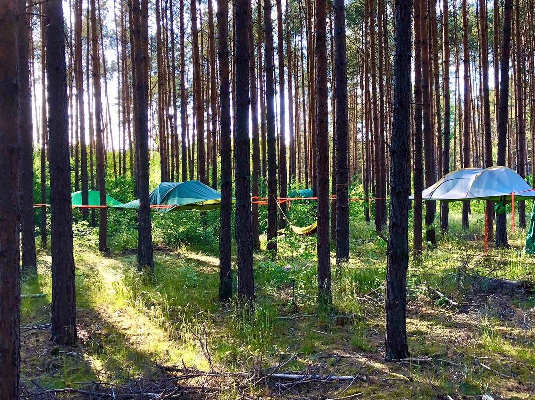Waldparadies Borkheide
