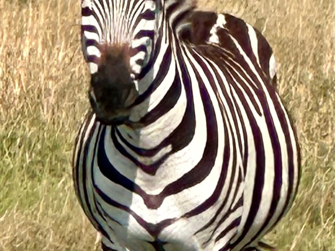 Adventure Out Loud-Kandanga必去景点