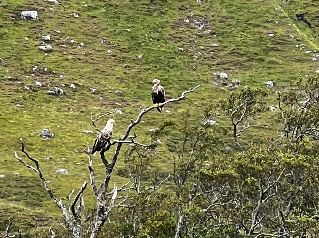 Loch Shiel Cruises-Glenfinnan必去景点
