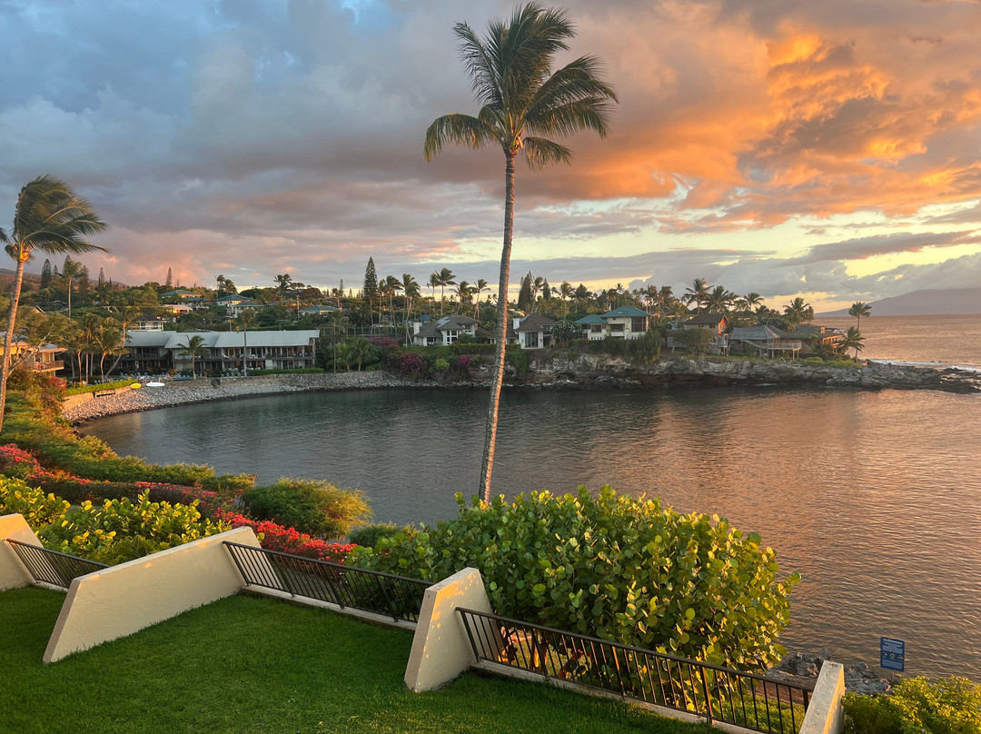 Napili Point Resort主图