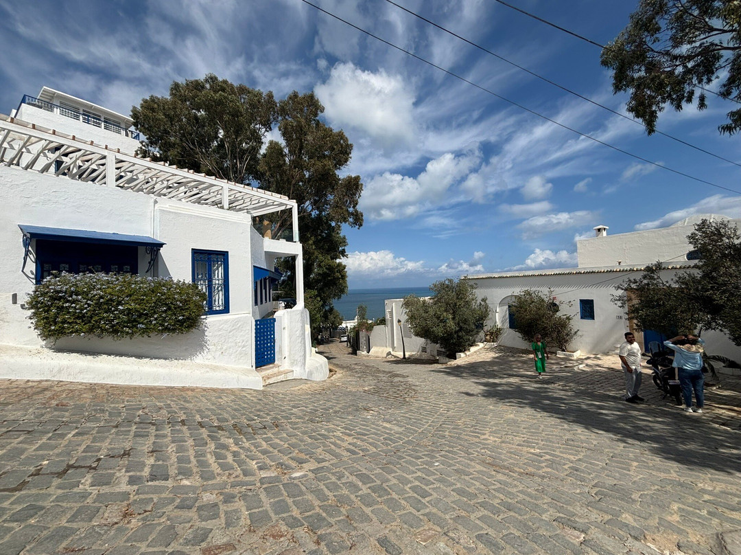 Sidi Bou Said Village-蓝白小镇必去景点