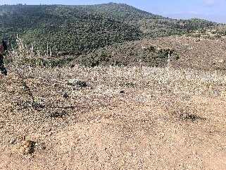 Tel Yodfat-Yodfat必去景点