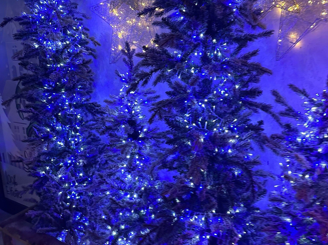 IL Regno DI Babbo Natale-Vetralla必去景点