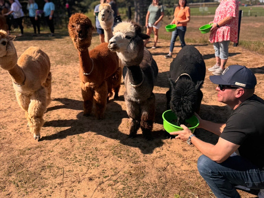Wisconsin Dells Trolley Tours-威斯康星峡谷必去景点