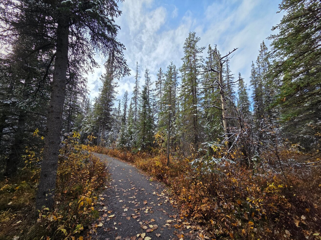 Denali National Park-阿拉斯加必去景点