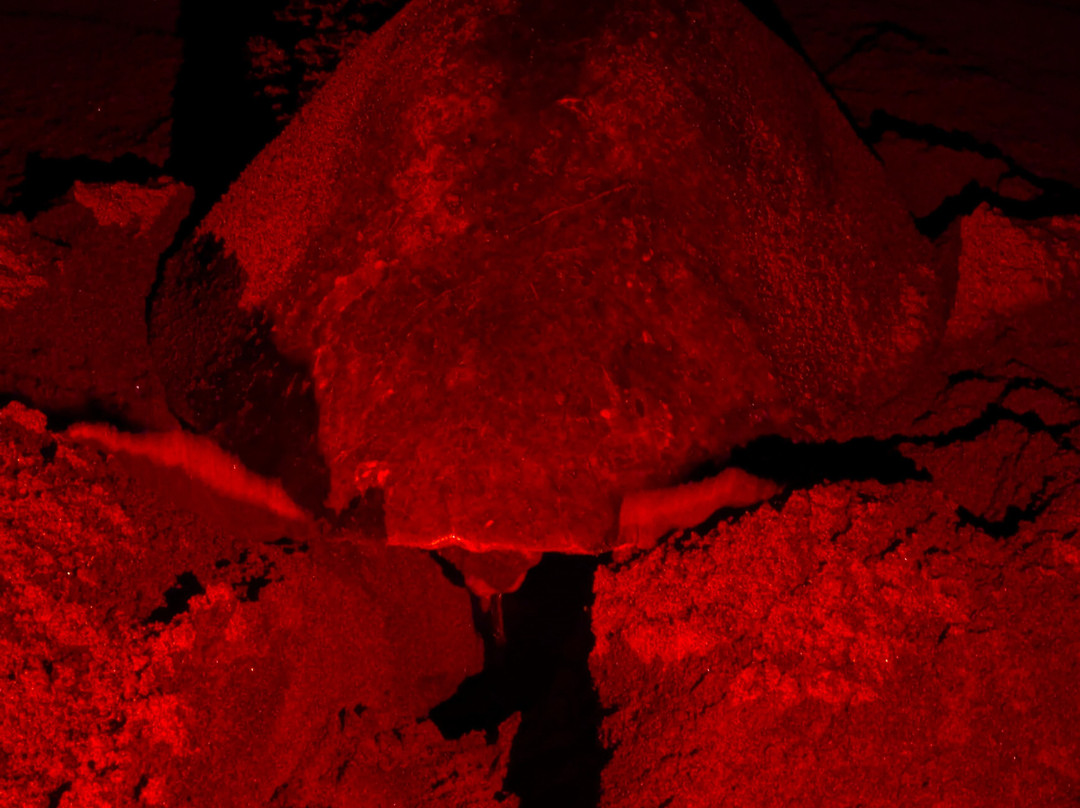 Save The Turtles Playa Venao-维纳欧海滩必去景点