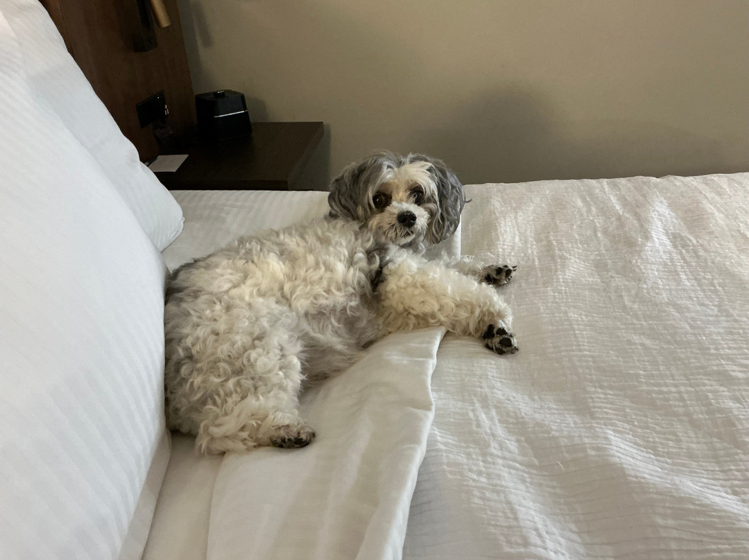 哥伦比亚东北/杰克森堡拉昆塔温德姆酒店主图