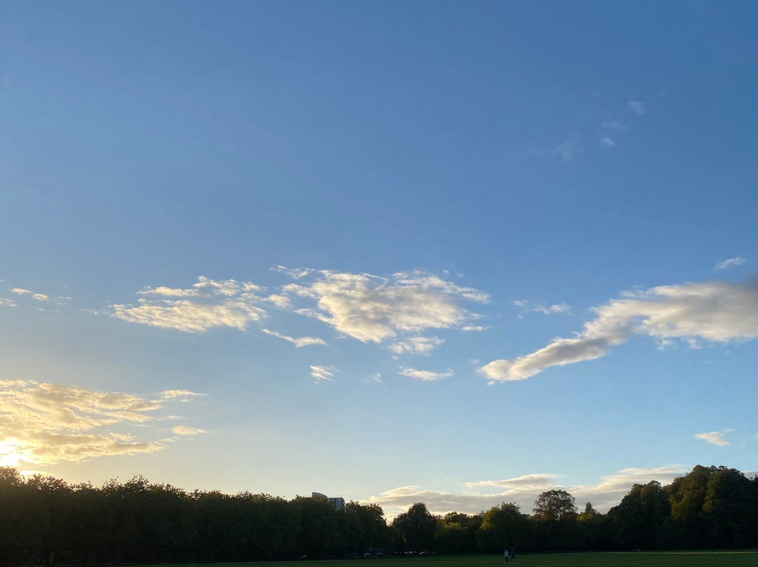 塞夫顿公园-利物浦必去景点