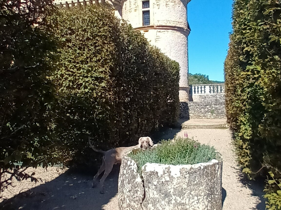 Château Et Jardins De Losse-Thonac必去景点