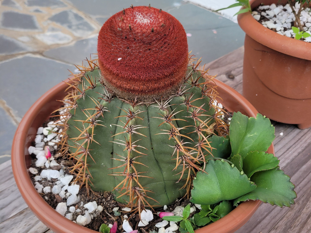 Pousada Maria Bonita主图