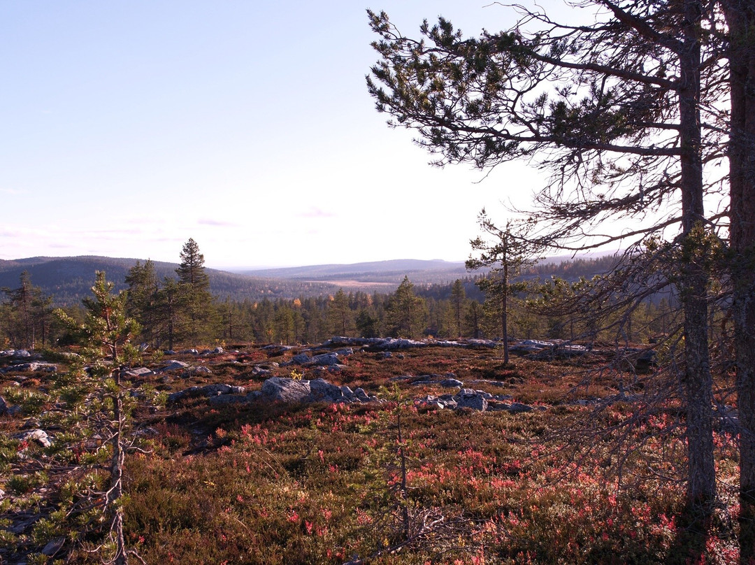 Kivitunturi Hiking Trail-Savukoski必去景点