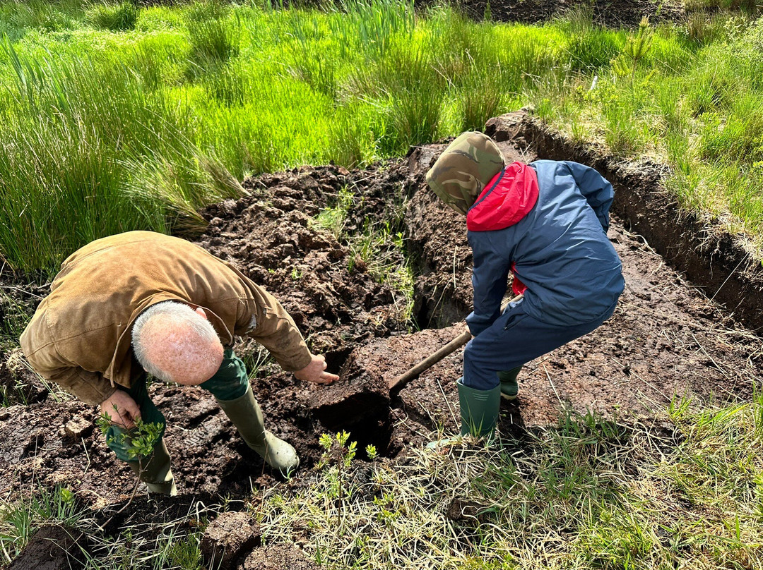 Ireland West Farm Stay-Charlestown必去景点