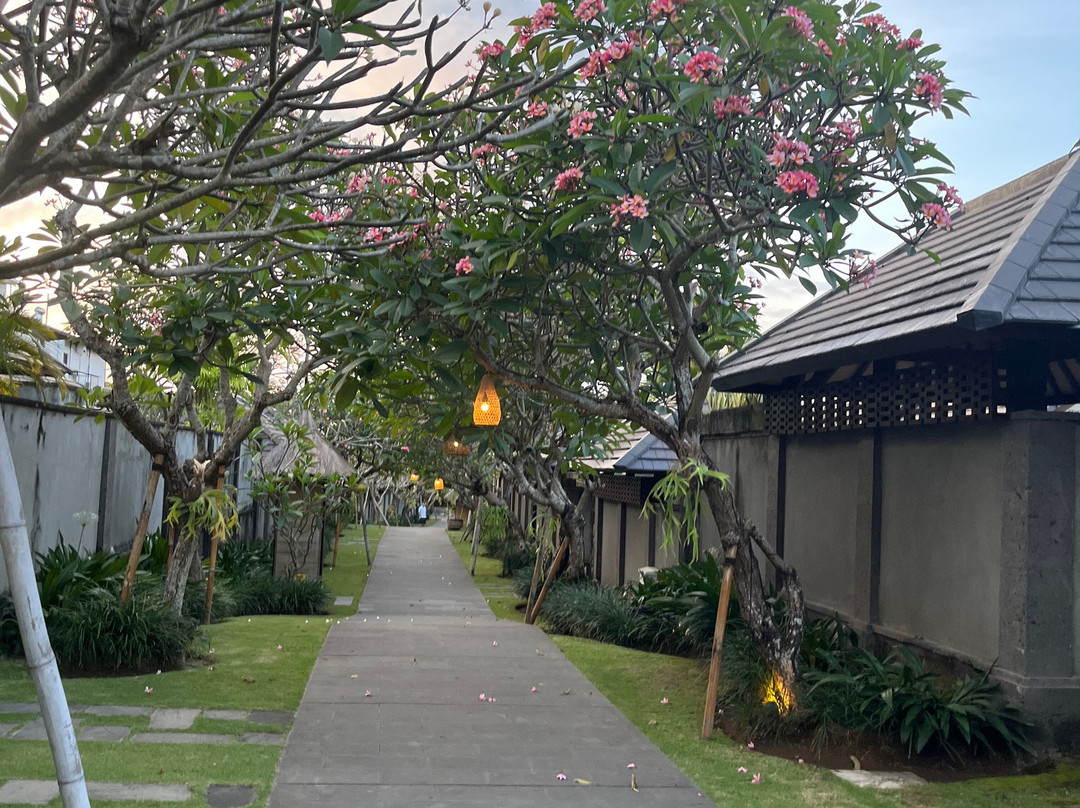 塞纳伊可Spa别墅主图