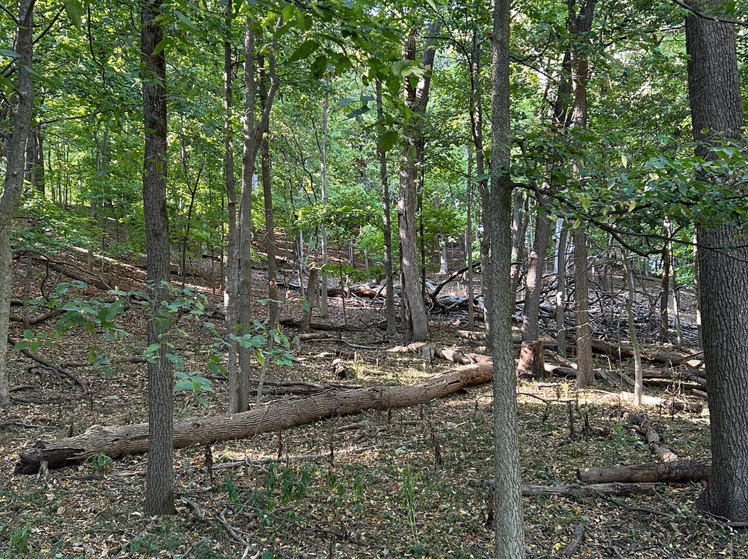 Forest Park Nature Center-皮奥里亚必去景点