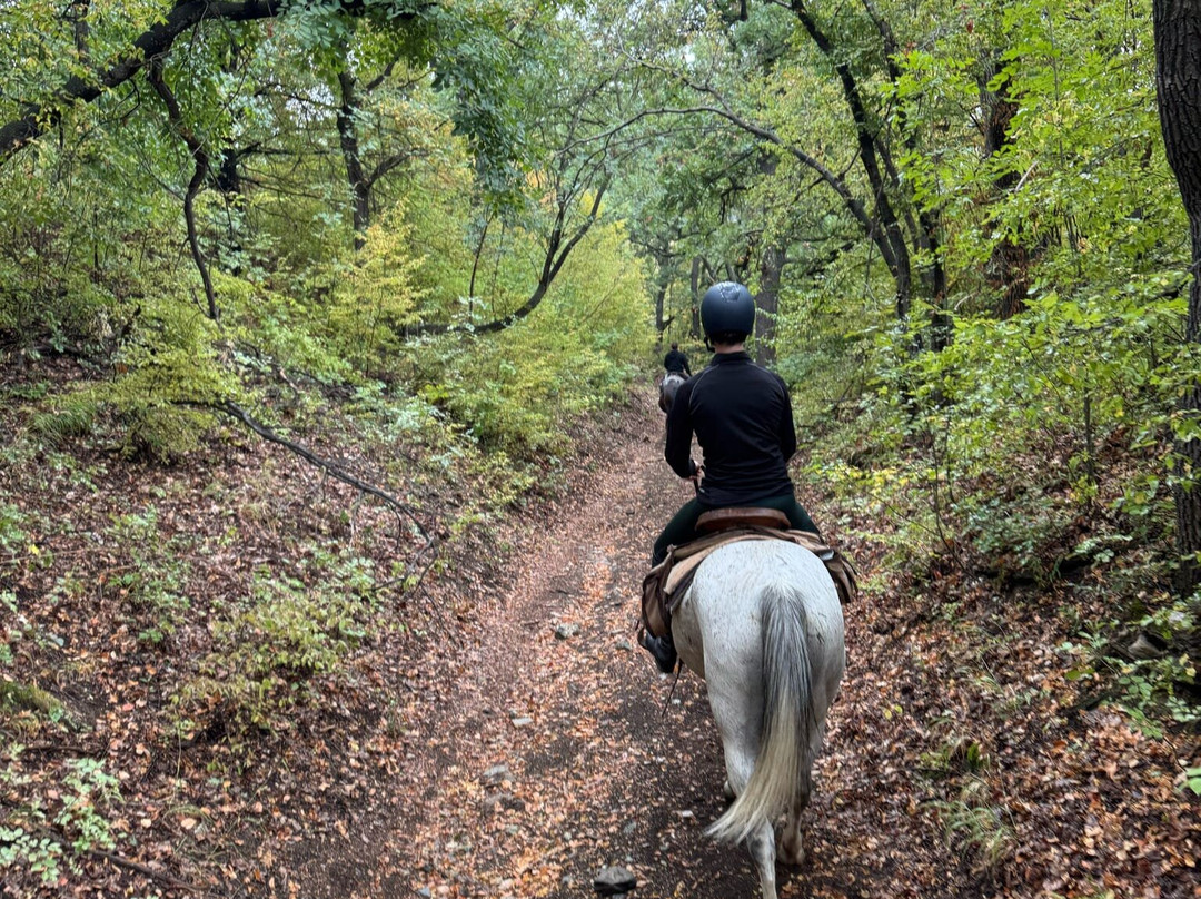 Horseriding Bulgaria - Day Tours-索非亚必去景点