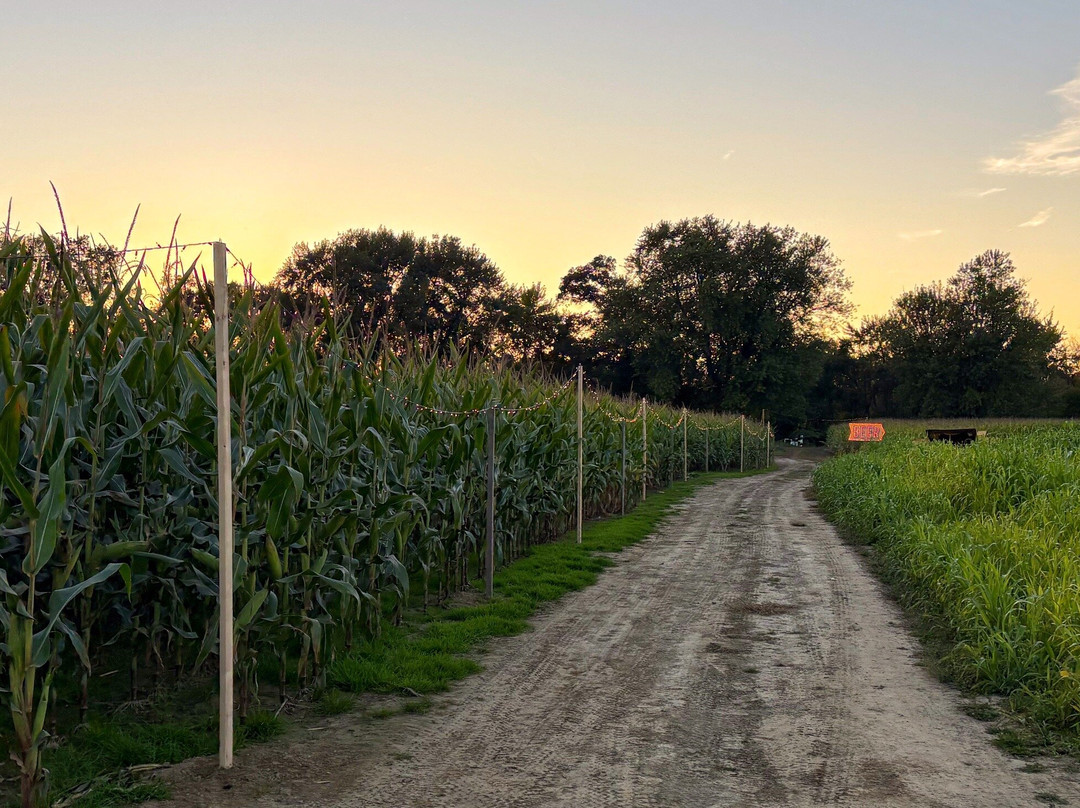 Mike's Maze-Sunderland必去景点