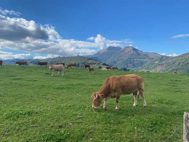 Pyrenean Experience-Ituren必去景点